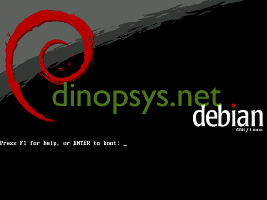 Debian Ilk Ekran - Dinopsys.NET