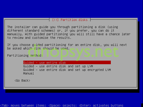 Debian 4.0 Etch - Dinopsys.Net